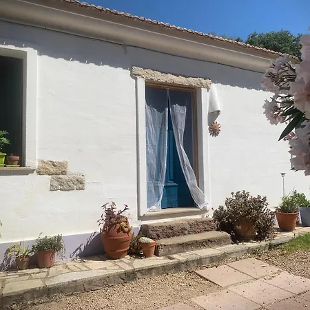 Apartment Da Dume *